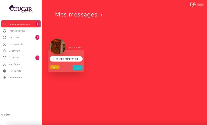 Page de messagerie du site Courgardiva.com