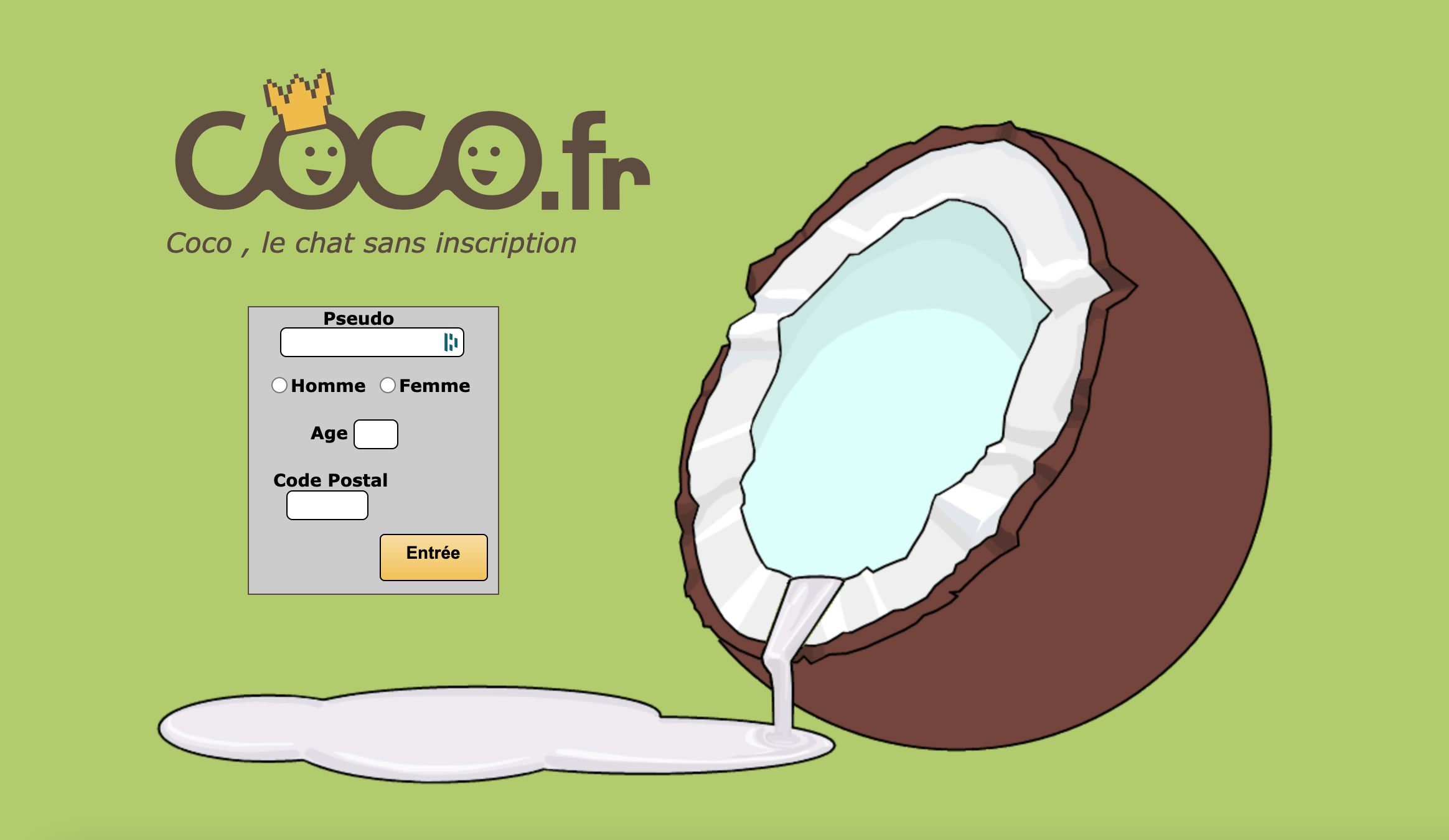Quel est notre avis sur Coco Chat ?