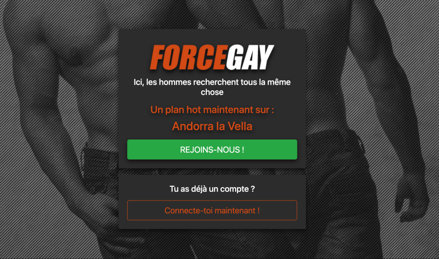 forcegay avis